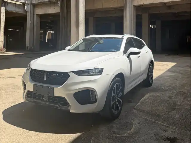 WEI PAI WEI BRAND VV7