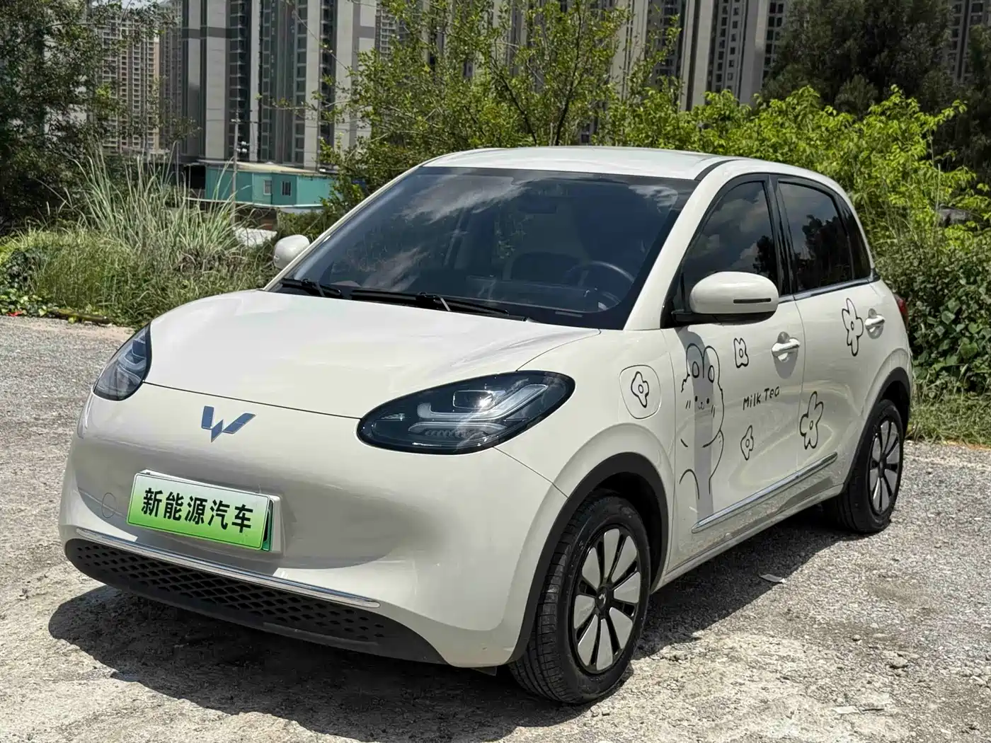 Wuling Motors Wuling Bingo 2024 333km Comfort Edition