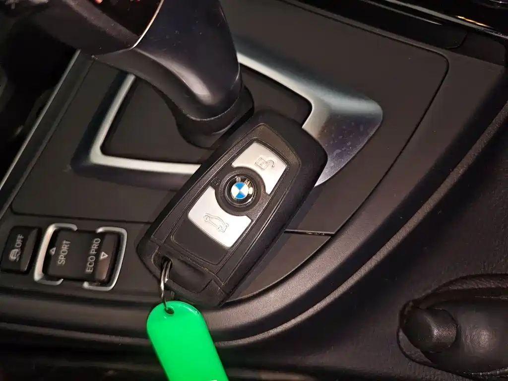BMW 3 Series 2018 320Li Fashion Style фото 9