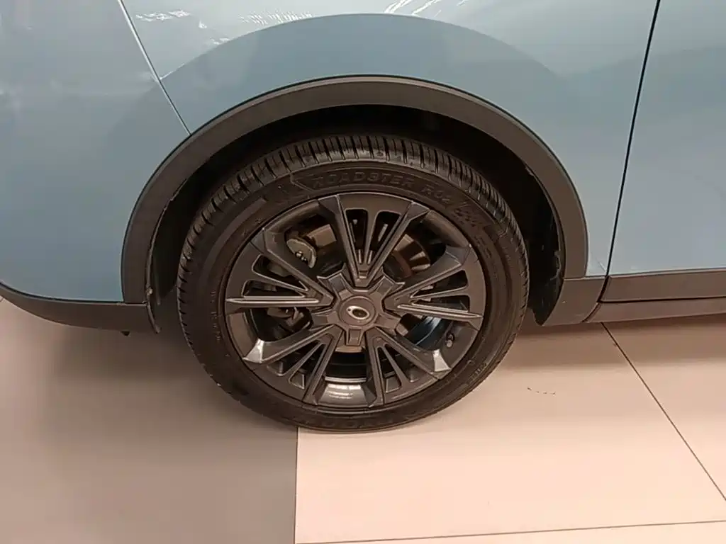 Ora iQ 2021 2019 Intelligent Premium