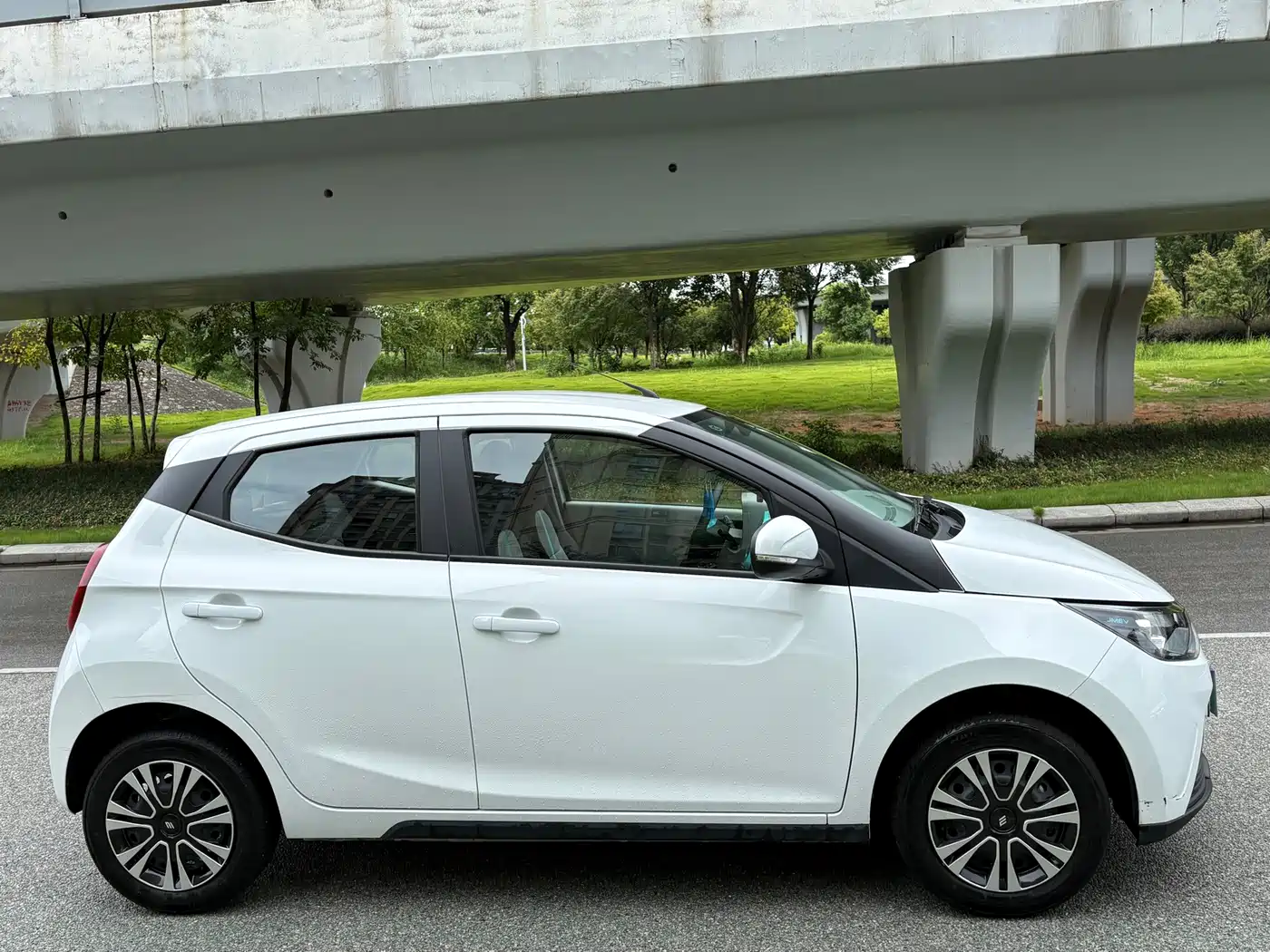 JMCG New Energy Little Kirin 2025 2024 201km Comfort Model