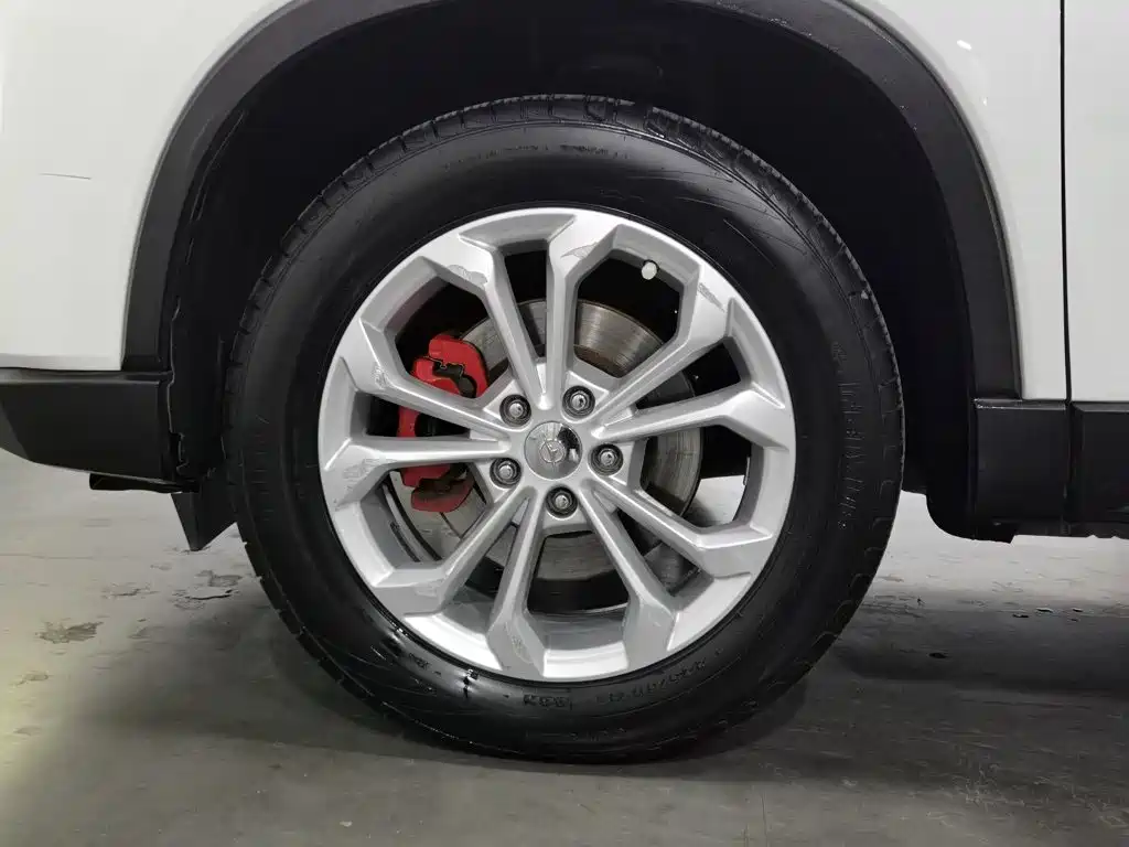 Фото 17 - Haima 8S