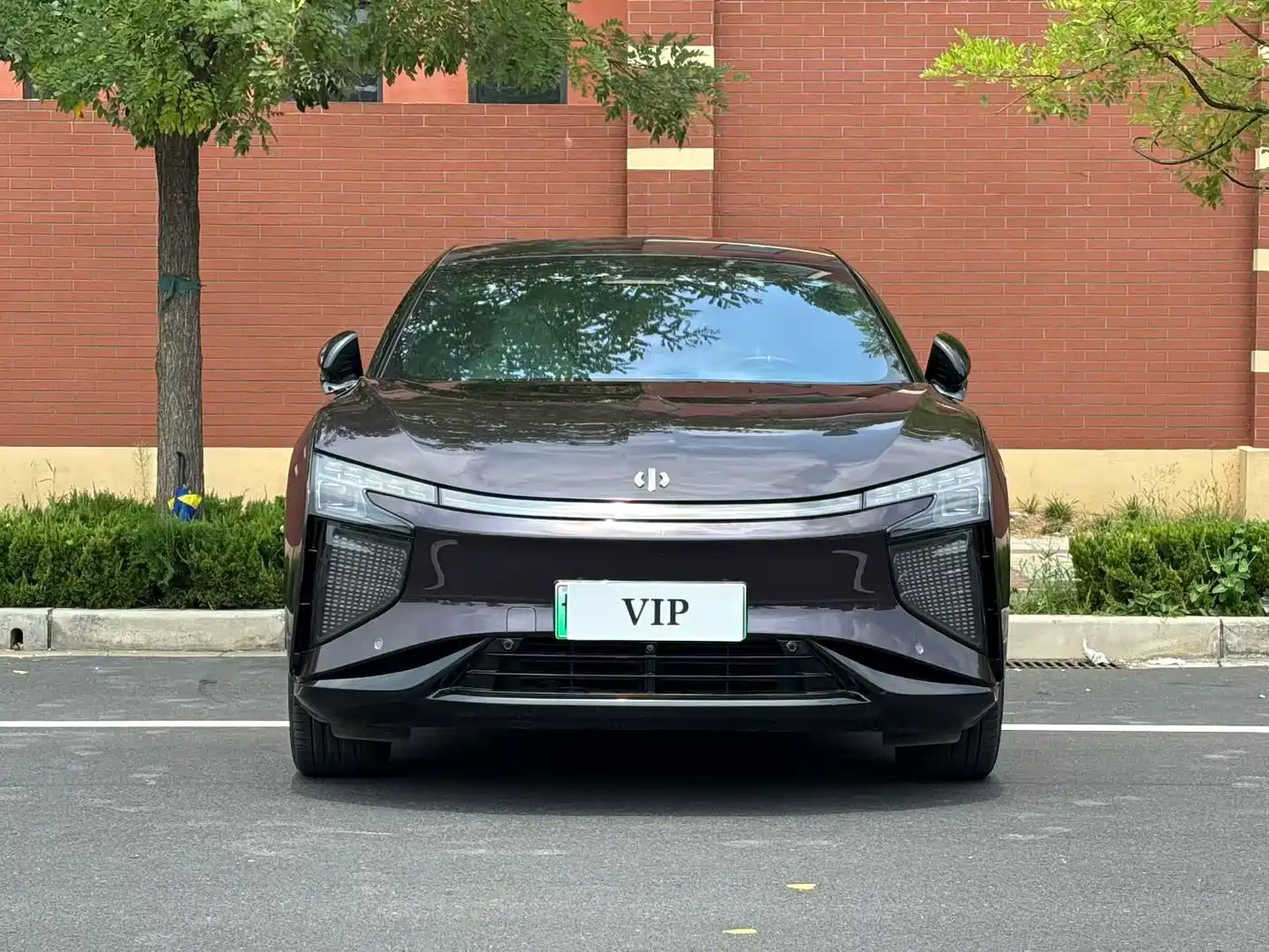 HiPhi X 2022 2021 Flagship Edition 6-Seater