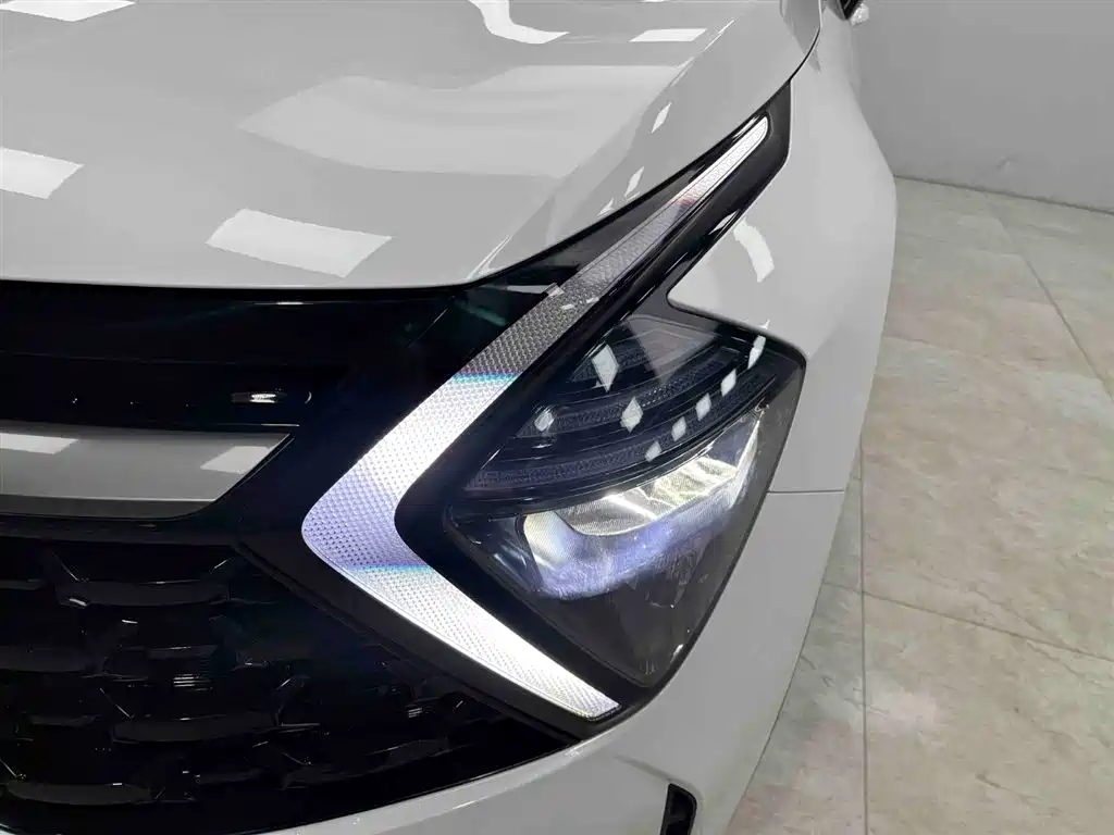 KIA LION PLATINUM EXPANDS THE WORLD