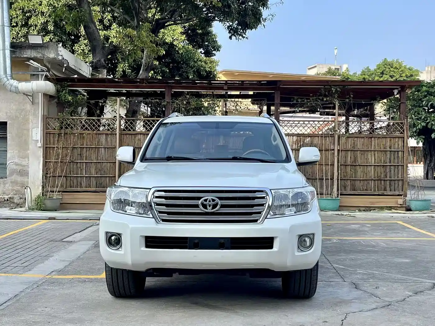 Toyota Land Cruiser (Import) фото 2