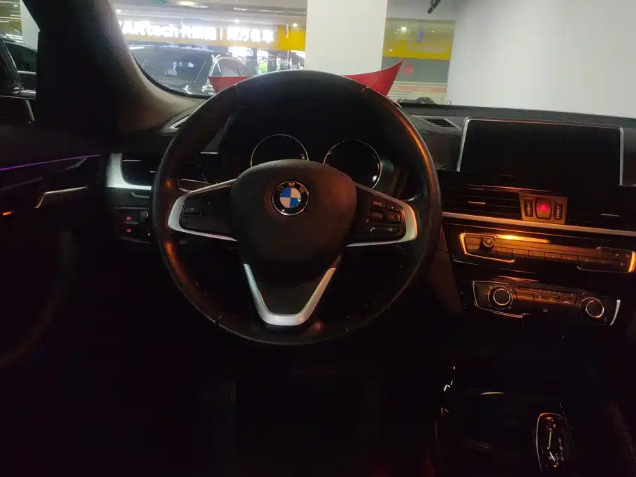 BMW X2 (Import) 2019 2018 sDrive20i M Off-Road Package China V