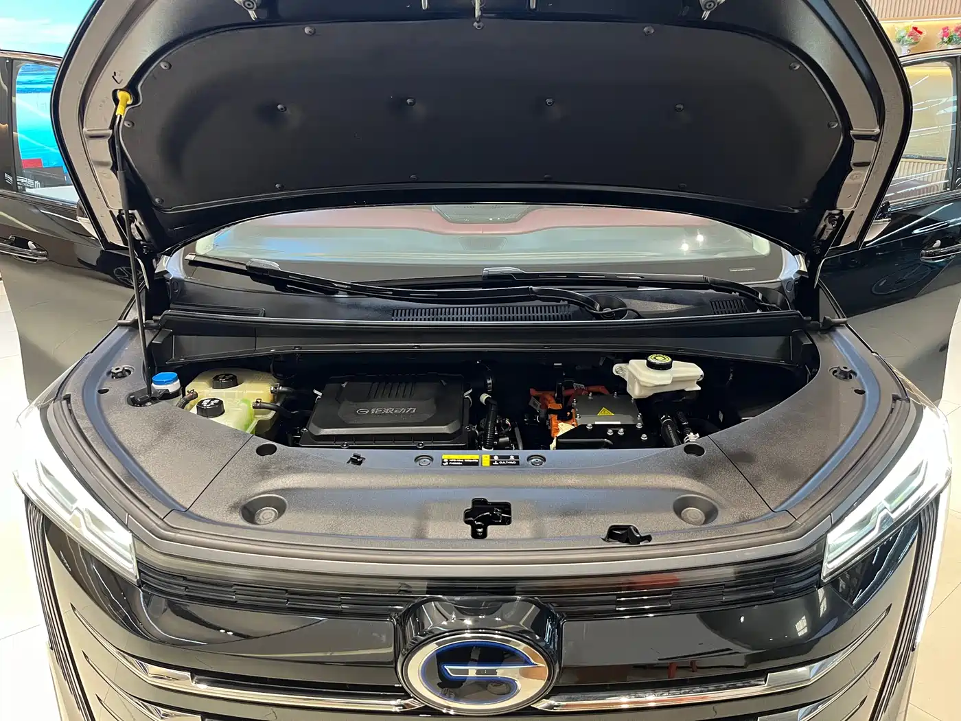 GAC Trumpchi Trumpchi E9 2023 E9 MAX фото 29