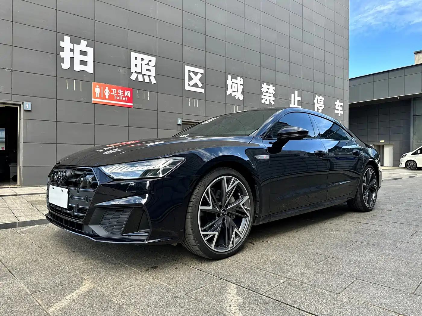 Audi A7L 2023 2023 45 TFSI quattro S-line Shadow Warrior Edition