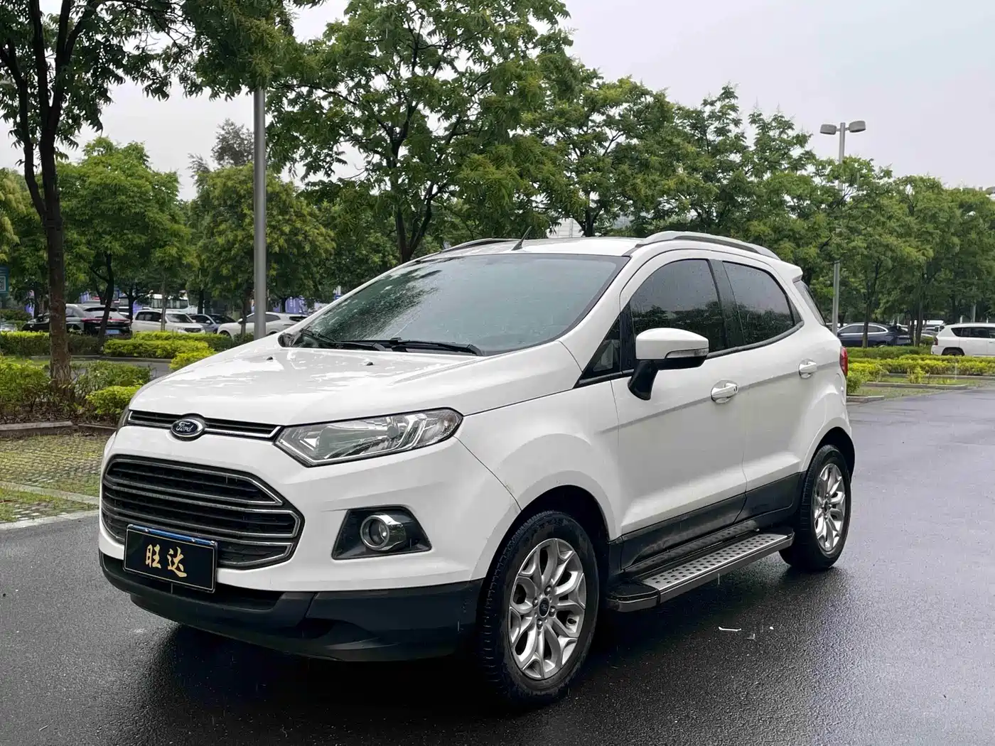 Ford EcoSport 2013 — пригон из Китая