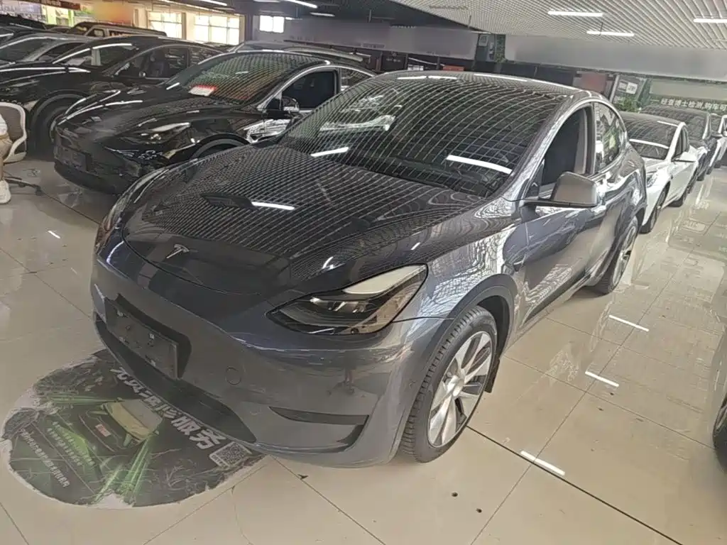 Tesla Model Y 2022 Rear-Wheel Drive Version