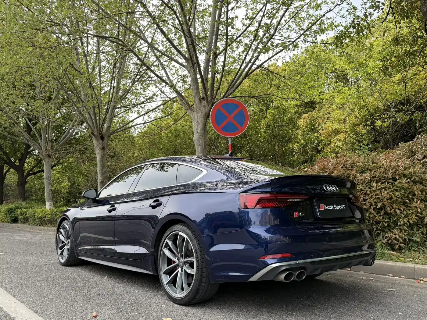Audi S5 2017 S5 3.0T Sportback фото 5