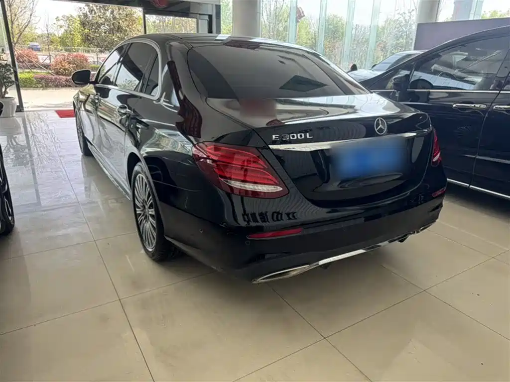Mercedes-Benz E-Class 2019 Facelift E 300 L Sport Luxury фото 5