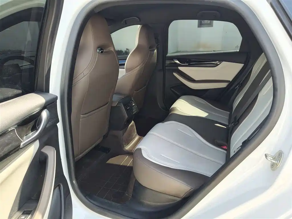 BYD Qin PLUS 2024 Glory Edition DM-i 55KM Leading фото 14