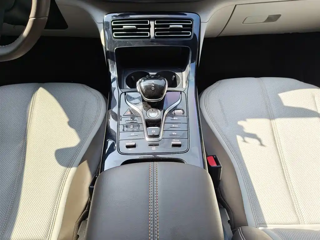 BYD Qin PLUS 2024 Glory Edition DM-i 55KM Leading фото 6