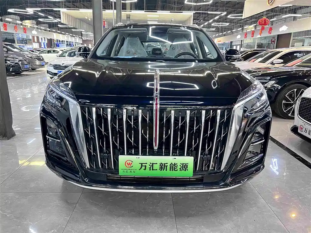 Hongqi HS3 PHEV 2026 2024 PHEV 115km Power Edition