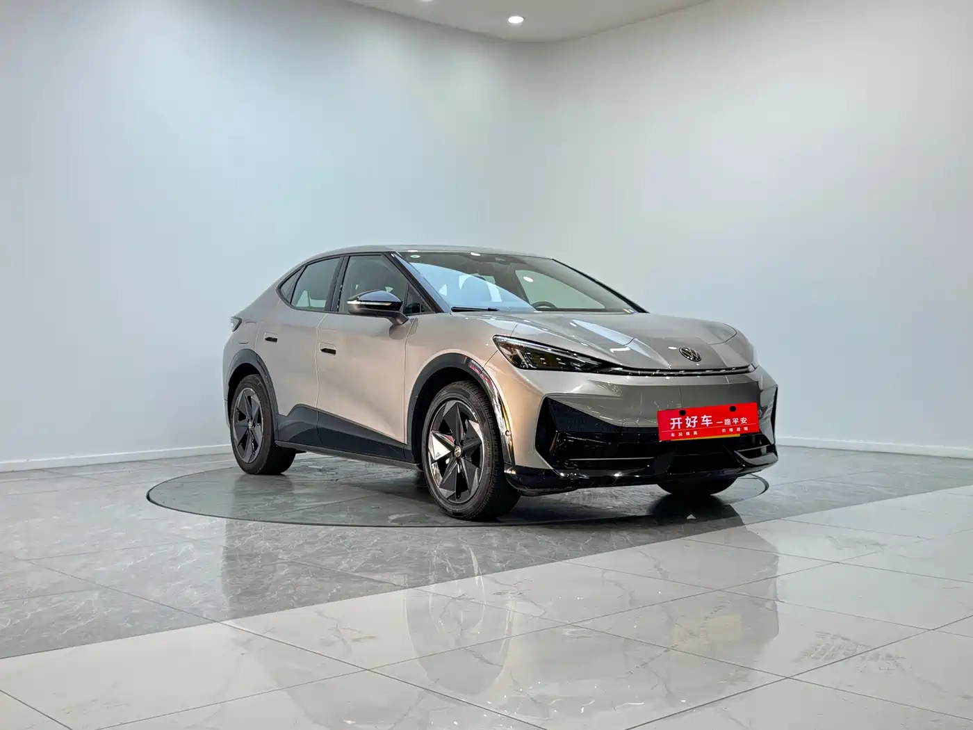 VOLKSWAGEN WITH THE CROWD 06