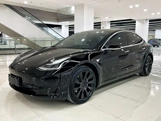 Tesla Model 3 2019 Standard Range Rear-Wheel Drive Upgrade