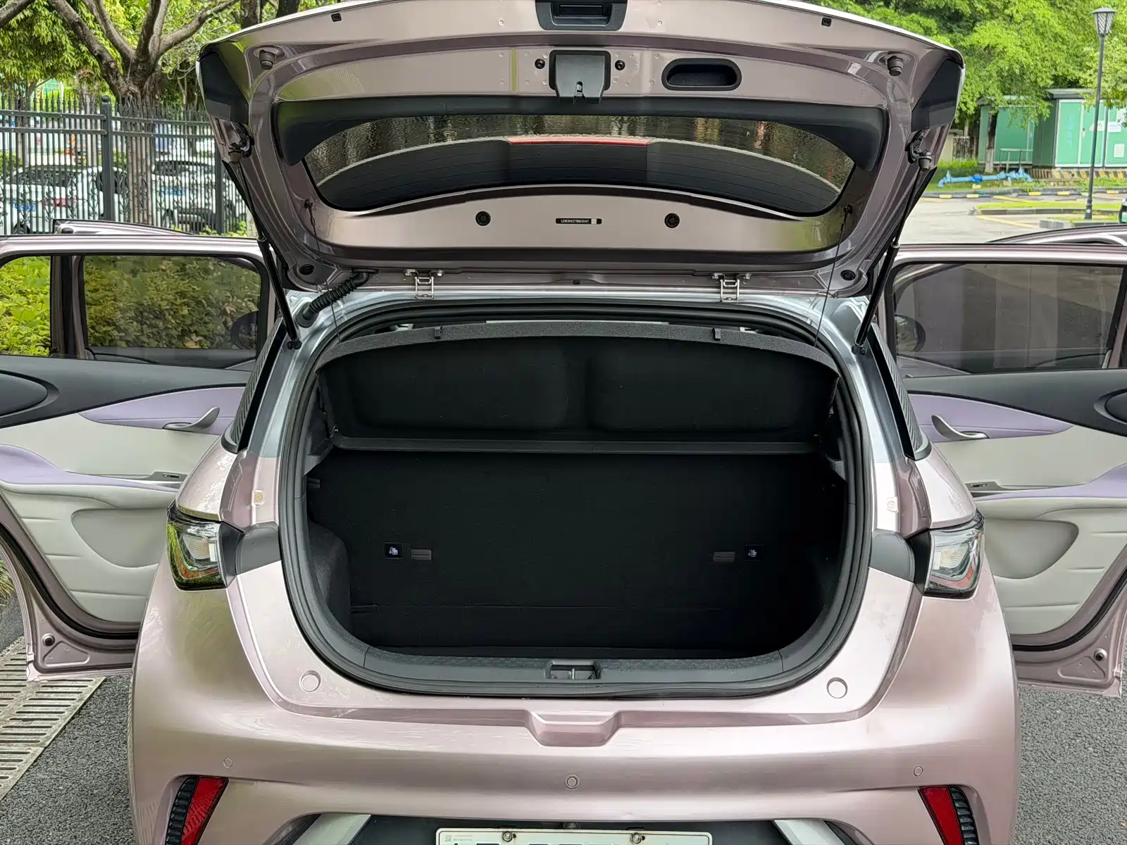 Фото 9 - BYD Dolphin
