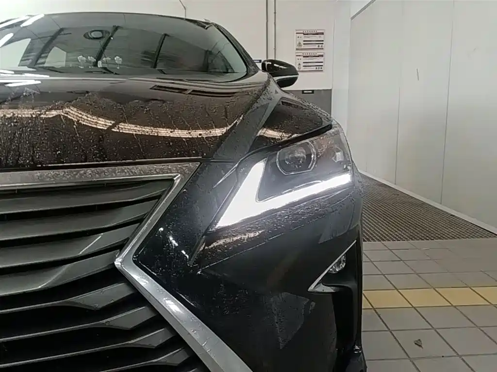 Lexus RX 2016 300 2WD Elite Edition (China V) фото 24