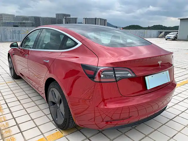 Tesla Model 3 (Import) 2019 Standard Range RWD Upgraded Edition — фото 4