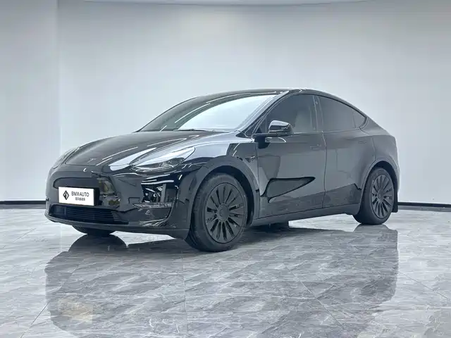 Tesla Model Y Увеличенный запас хода, полный привод