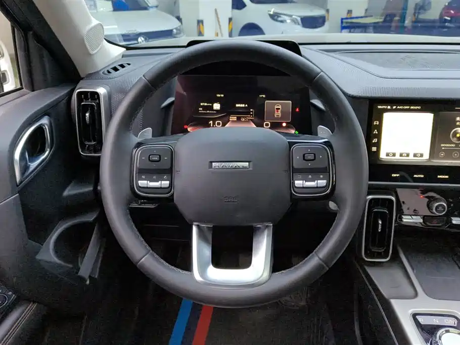 Haval Big Dog 2024 1.5T DCT Border Collie Edition фото 15