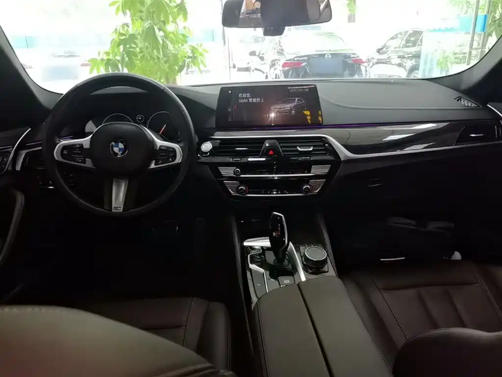 BMW 5 Series 2019 525Li M Sport Package фото 10