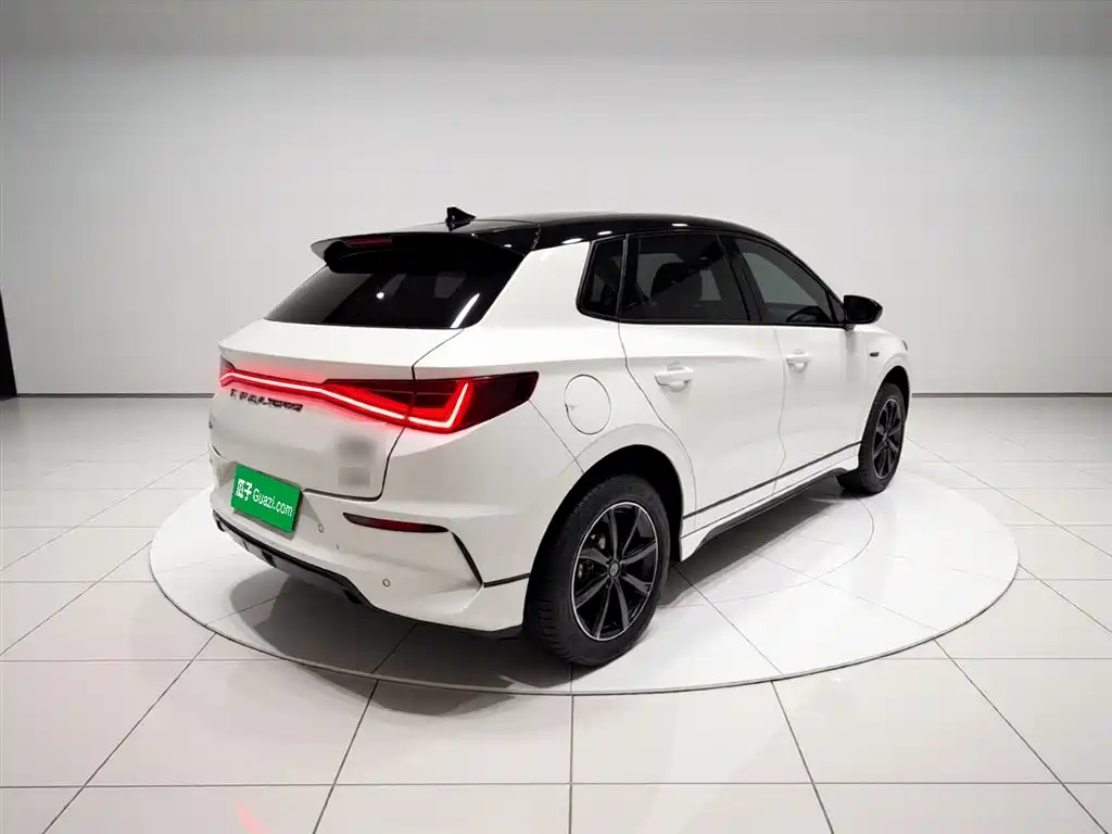 BYD e2 2021 Luxury Edition фото 4