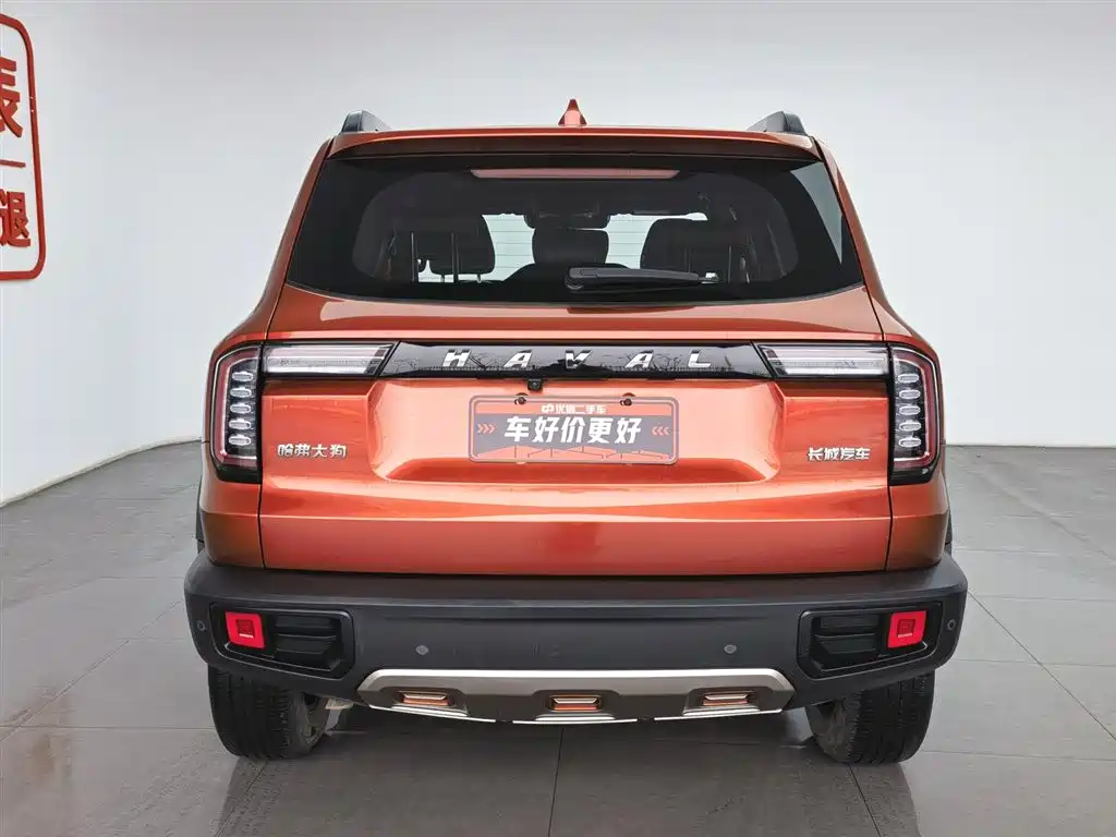 HAVAL BIG DOG