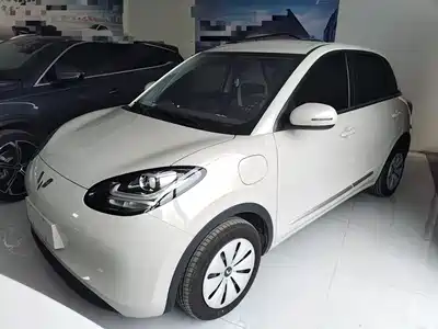 Wuling Bingo
