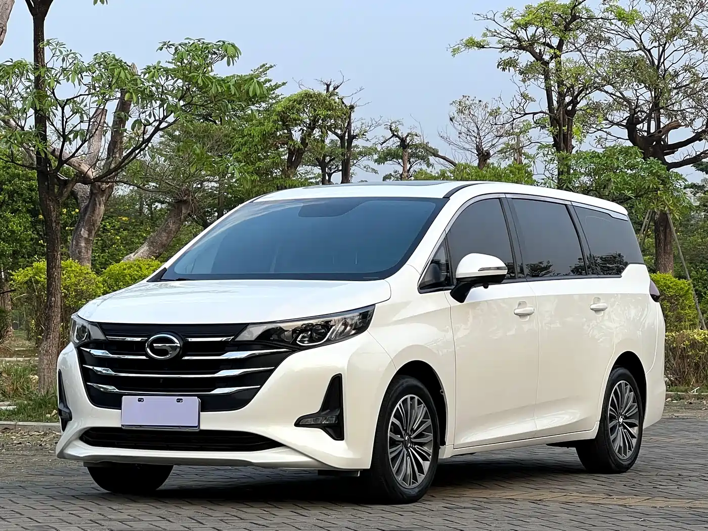 GAC Trumpchi Trumpchi M6 2019 270T Automatic Honor (7-seater) China V