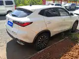 Фото 3 - Changan Oshan Changan Oushang X5