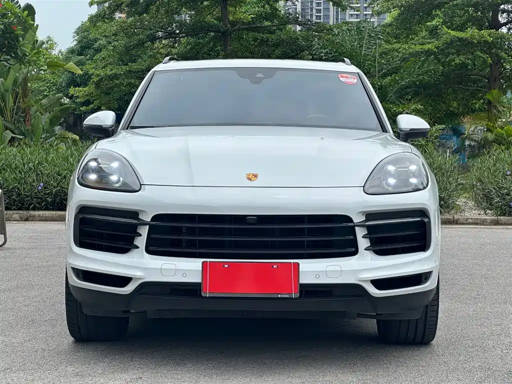 Porsche Cayenne 2023 Cayenne 3.0T Platinum Edition фото 3