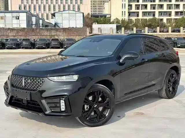 WEI PAI WEI BRAND VV7