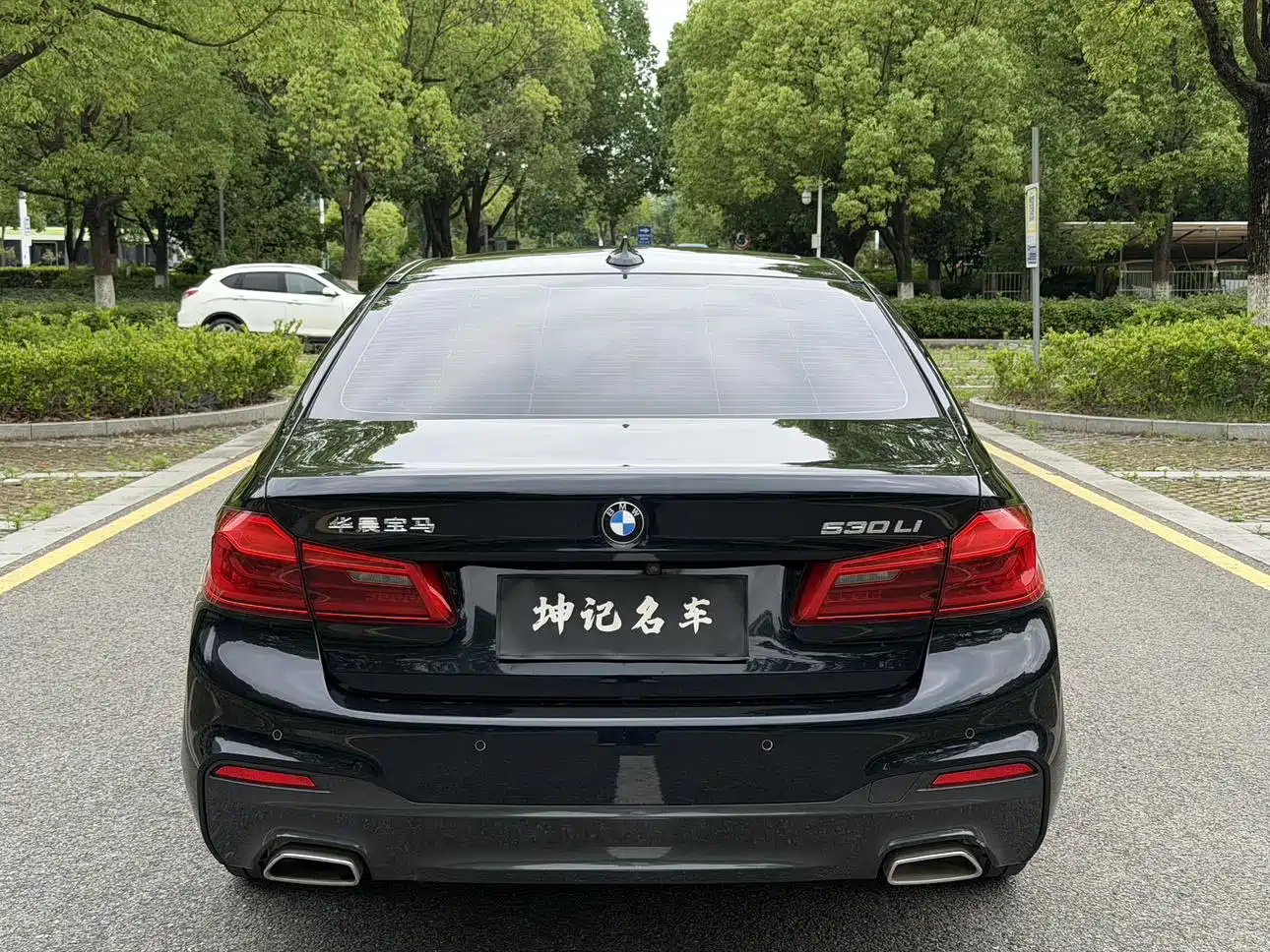 BMW 5 Series 2020 530Li Exclusive M Sport Package фото 15