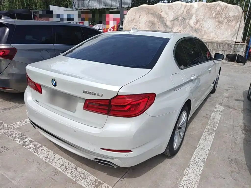 BMW 5 Series 2020 530Li xDrive Luxury Package фото 7