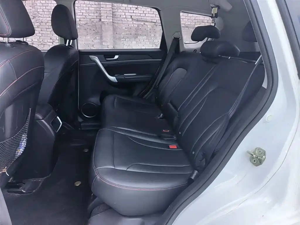 Haval H6 2017 Blue Label Sport 1.5T Auto 2WD Luxury фото 17