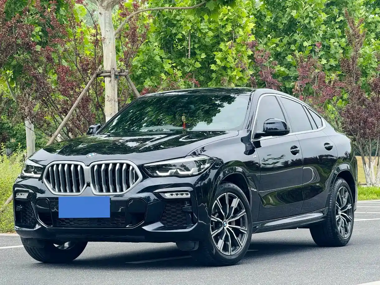 BMW X6 2021 xDrive30i M Sport Package