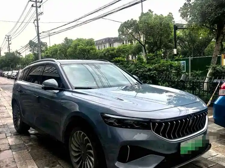 Voyah Auto VOYAH FREE 2021 AWD Standard Range Extender Exclusive Luxury Package фото 2