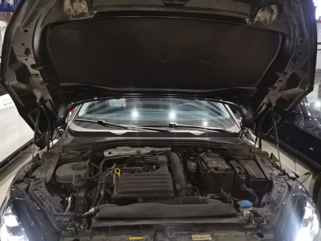 VOLKSWAGEN LINGDU