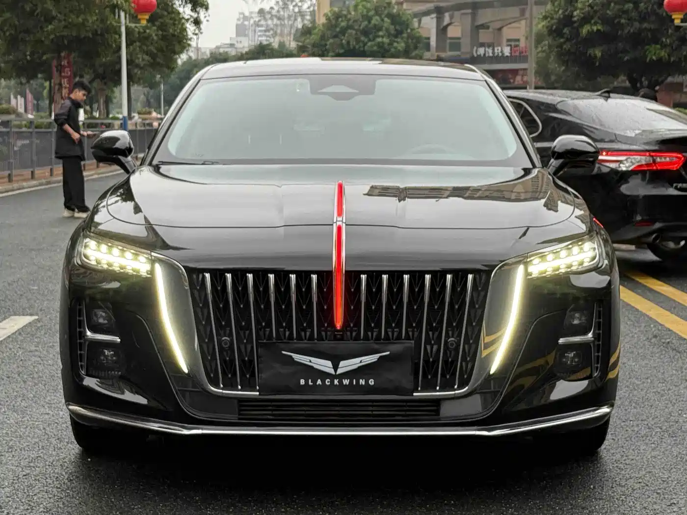 Hongqi H5 2024 2.0T Automatic Smart Connect Flag Smooth Edition фото 2