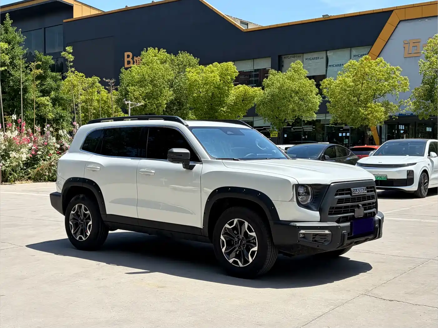 Haval Big Dog 2024 2.0T DCT Chinese Rural Dog Edition фото 3
