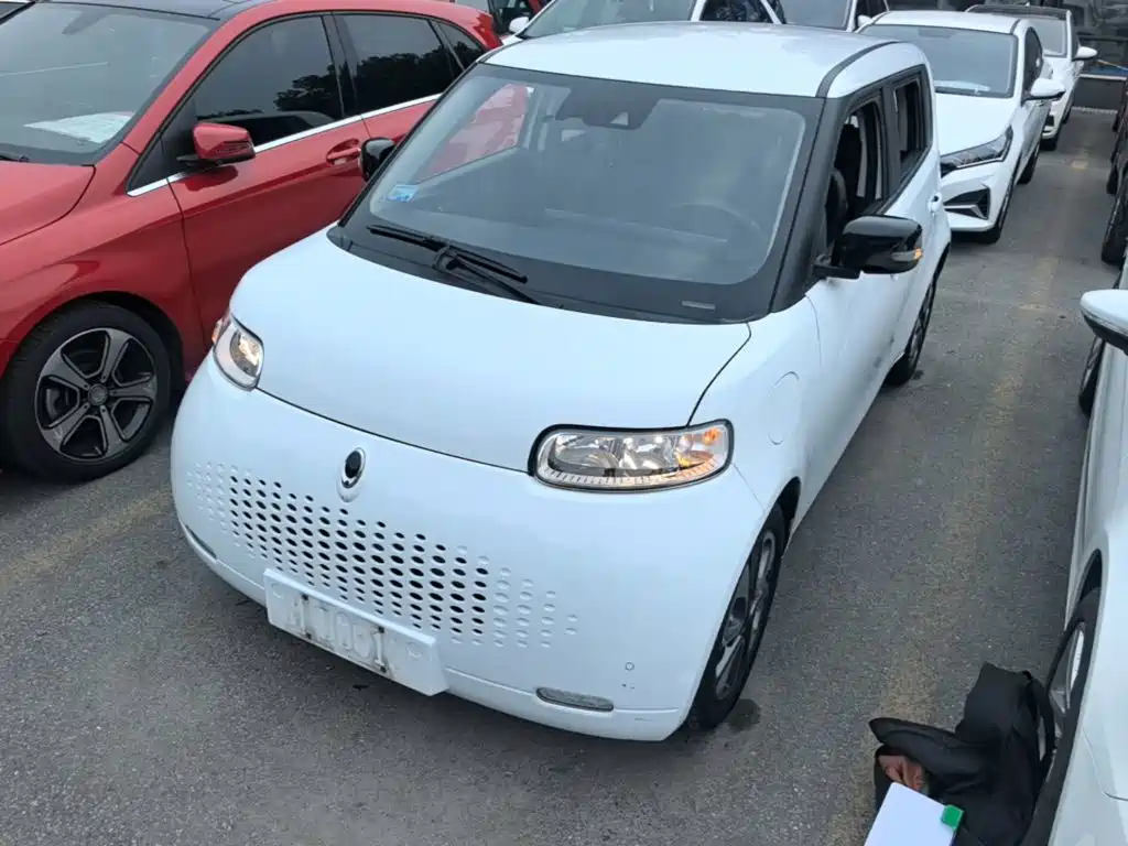 Ora White Cat 2020 401km Flagship Model
