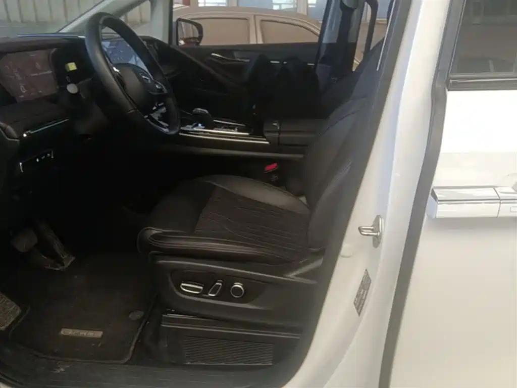 GAC Trumpchi Trumpchi M8 2024 Master Series Super Hybrid фото 22