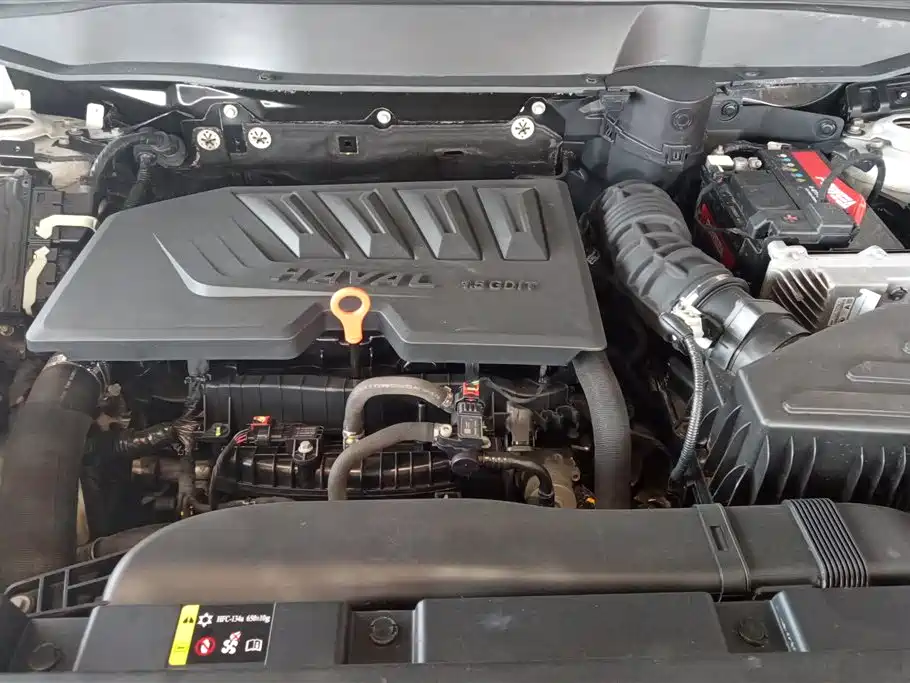 Haval Big Dog 2021 1.5T DCT 2WD Labrador Edition фото 10