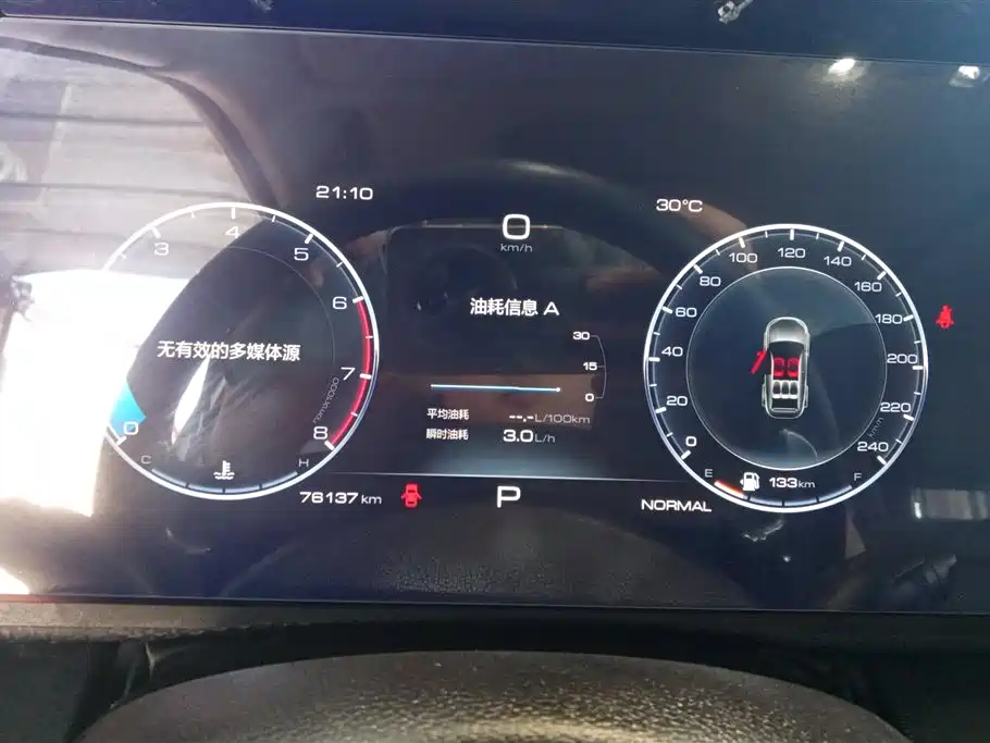 Haval Big Dog 2021 1.5T DCT 2WD Labrador Edition фото 14