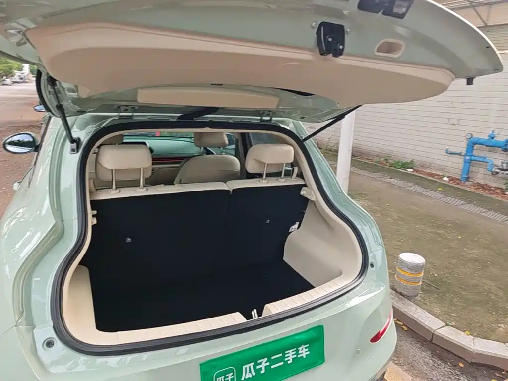 Ora Good Cat 2023 2023 401km Standard Range Luxury LFP