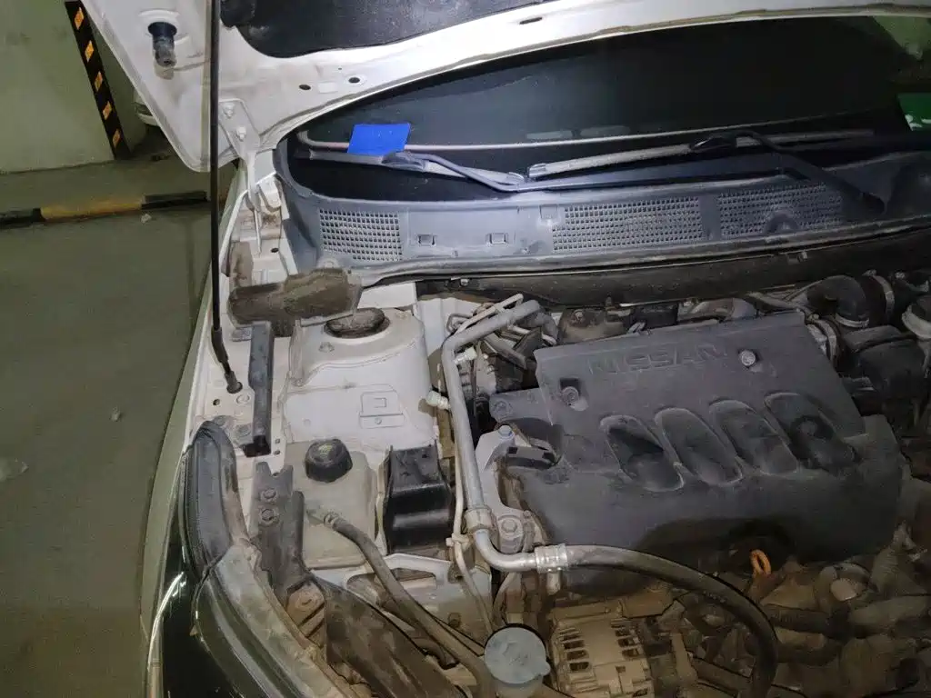 Venucia T70 2018 2018 2.0L CVT RuiXiang Edition