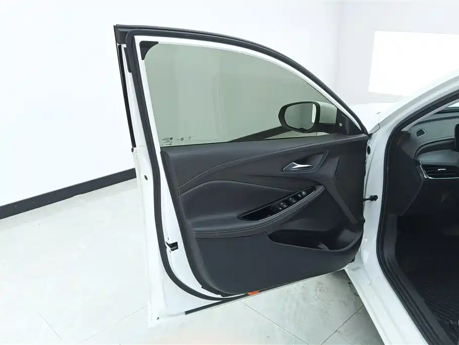 BUICK WEILANG