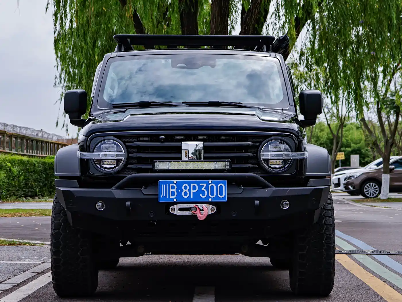 Tank 300 2021 Off-road Version 2.0T Conqueror фото 10